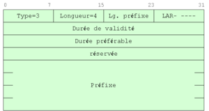 Figure 5-2 Format de l'option information sur le préfixe