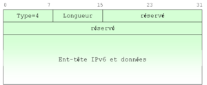 Figure 5-3 Format de l'option en-tête redirigée