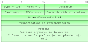 Figure 5-6 Format des paquets d'annonce du routeur